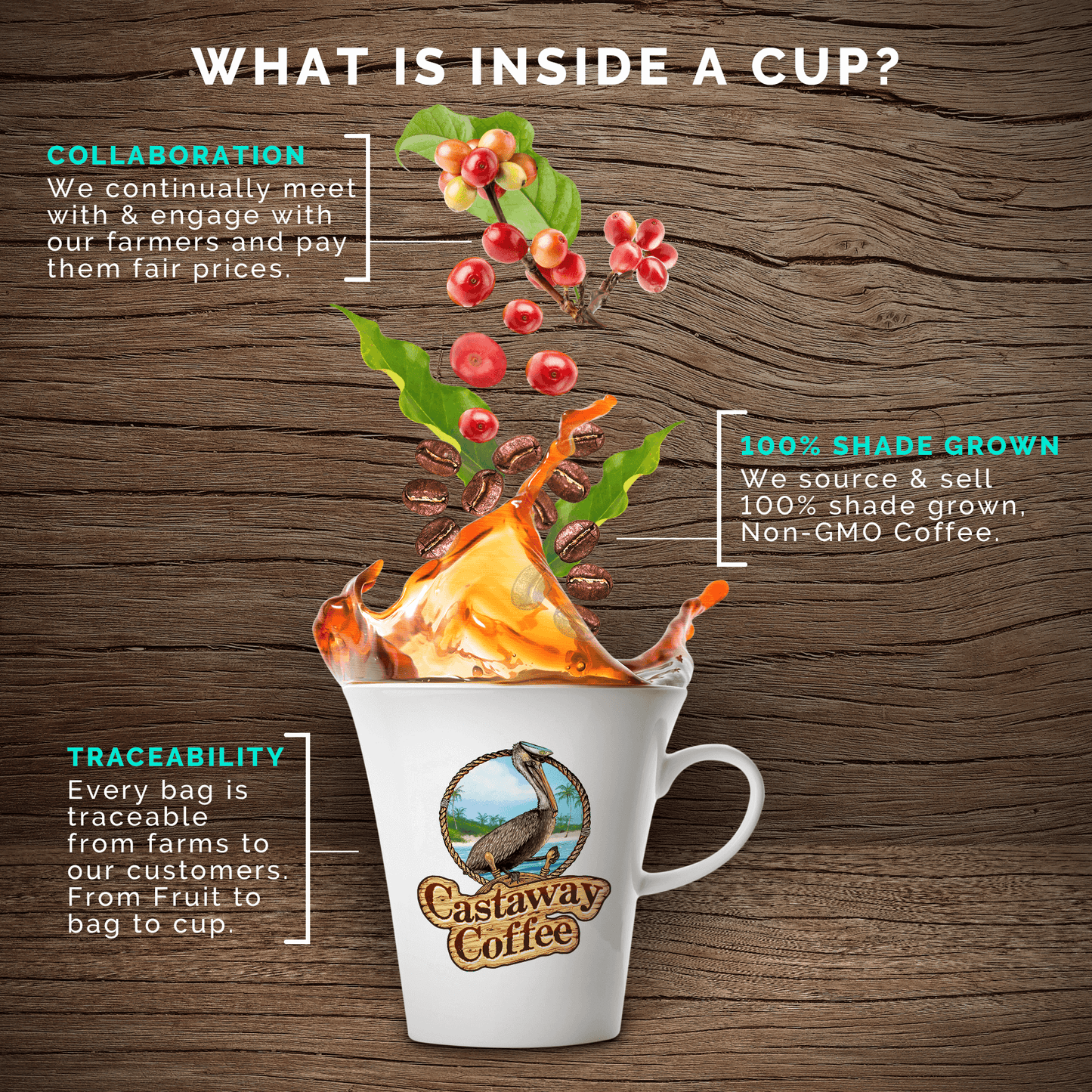 Castaway Coffee Café Cubano Nespresso Capsule 60 Count