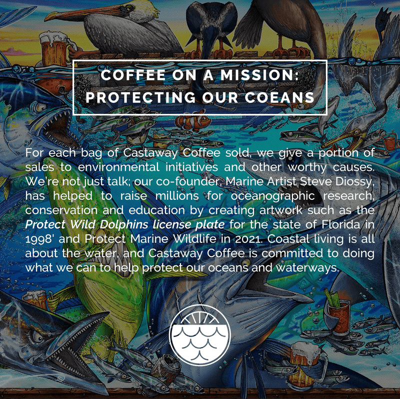 Castaway Coffee Monsoon Malabar K-Cup Pod 12 Count