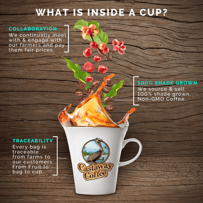 Light-Medium Starter Pack (Monsoon Malabar, Breakfast Blend, Bourbon Infused; 12OZ)