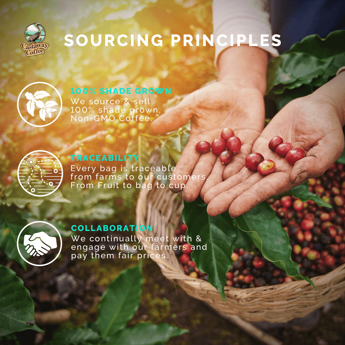 Bourbon Infused Coffee