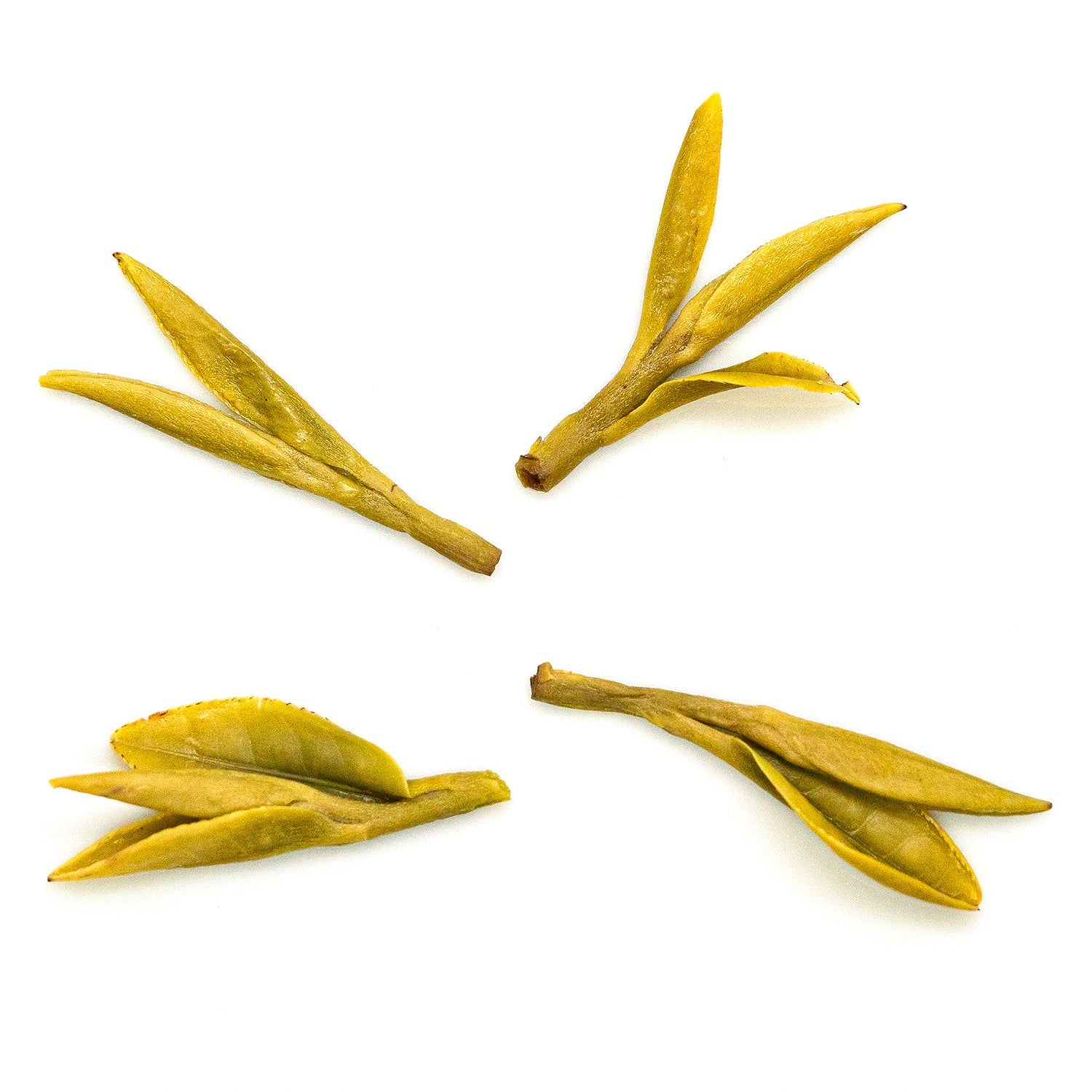 Xi Hu Long Jing (Dragon Well) 西湖龍井 – The Pan Handle